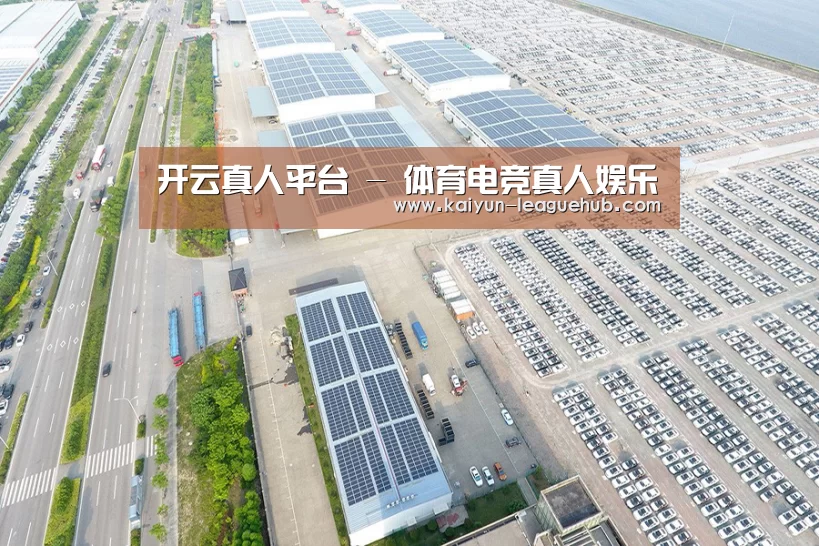 案例展示一