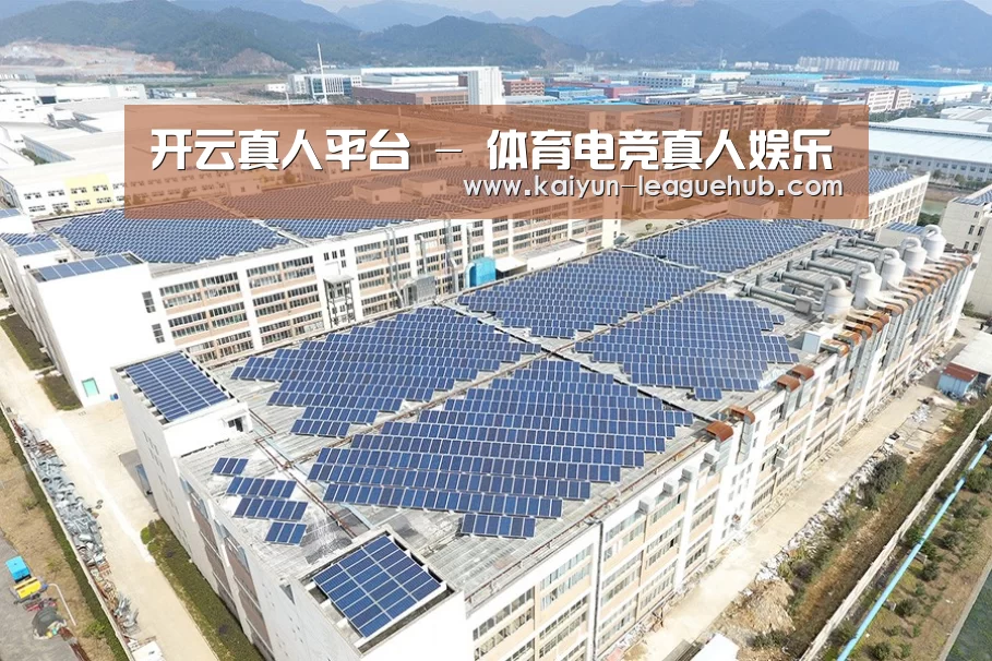 案例展示四