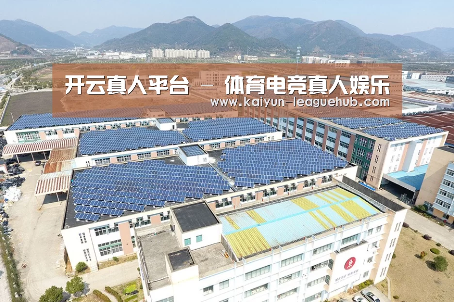 案例展示三