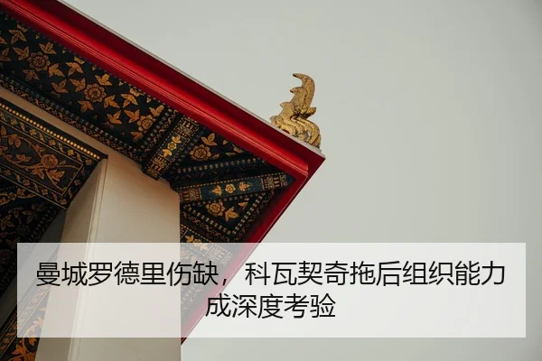 man-cheng-luo-de-li-shang-que-ke-wa-qi-qi-tuo-hou-zu-zhi-neng-li-cheng-shen-du-kao-yan-2-371.jpg