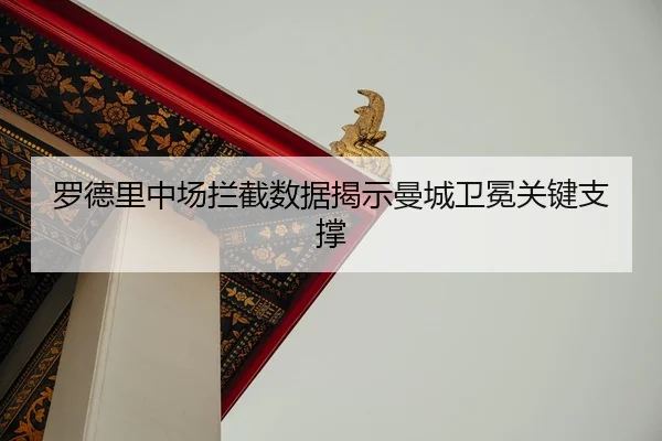 luo-de-li-zhong-chang-lan-jie-shu-ju-jie-shi-man-cheng-wei-mian-guan-jian-zhi-cheng-2-446.jpg