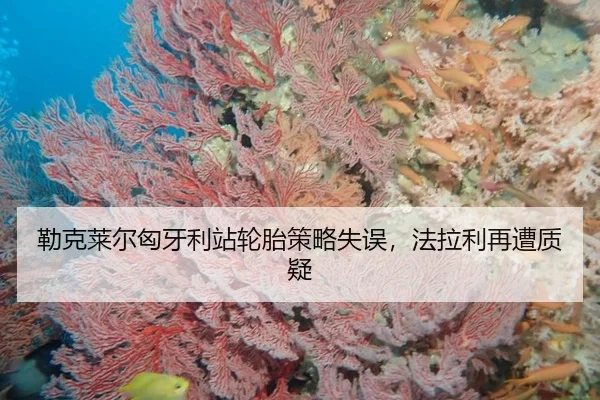 lei-ke-lai-er-xiong-ya-li-zhan-lun-tai-ce-lve-shi-wu-fa-la-li-zai-zao-zhi-yi-2-241.jpg
