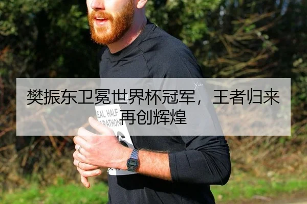 樊振东卫冕世界杯冠军，王者归来再创辉煌