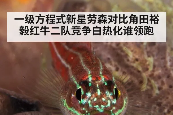 一级方程式新星劳森对比角田裕毅红牛二队竞争白热化谁领跑